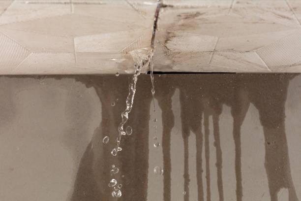 Professional Water Damage Inspection technician working in Nashua, IA